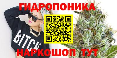 бошки Бийск
