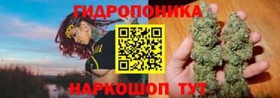 бошки Бийск