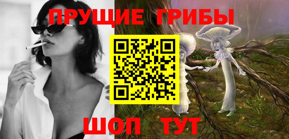 Псилоцибиновые грибы прущие грибы Кисловодск