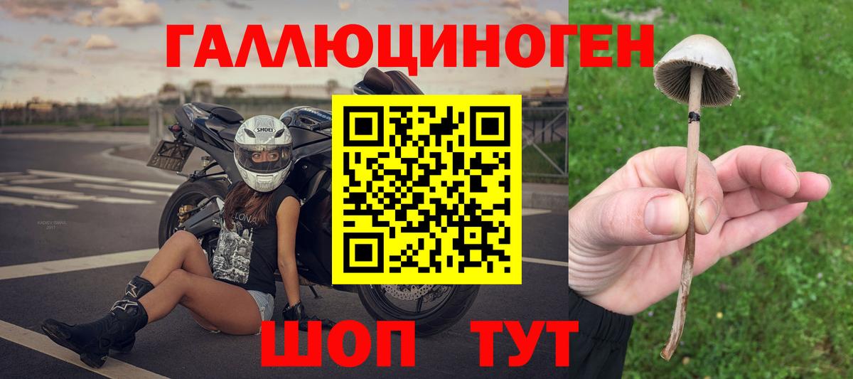 Галлюциногенные грибы Psilocybe  Вход с VPN  Кисловодск 